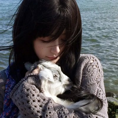 狄小肆之幽冥飞狼