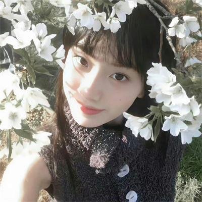 谍海风云